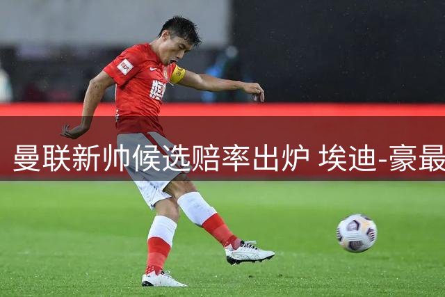 曼联新帅候选赔率出炉 埃迪-豪最被看好