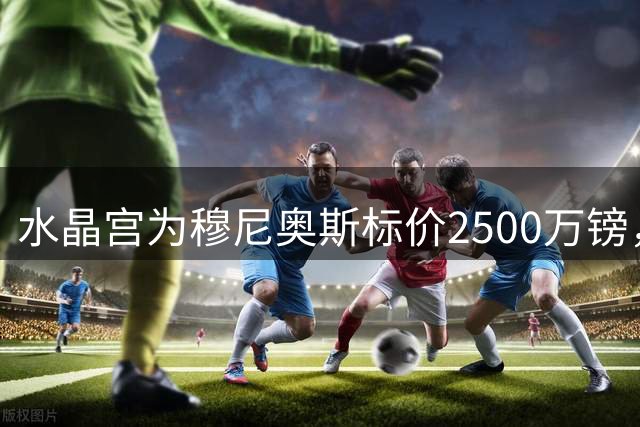 水晶宫为穆尼奥斯标价2500万镑，多支英超球队关注