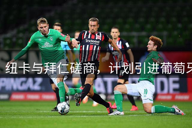 纽卡与拜仁磋商，计划引进葡萄牙中场帕利尼亚