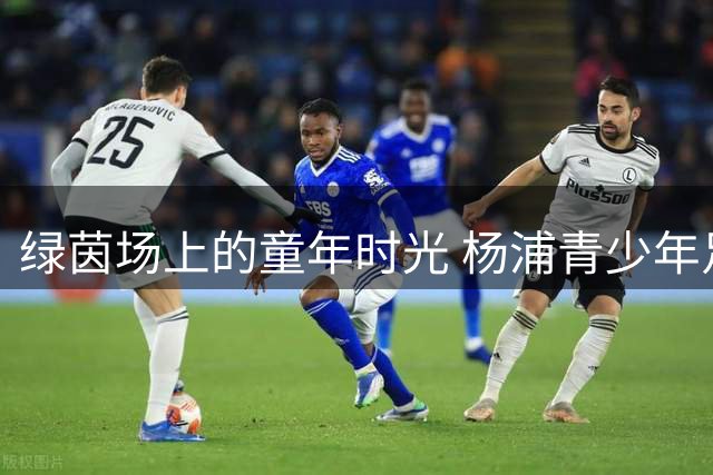绿茵场上的童年时光 杨浦青少年足球赛圆满落幕